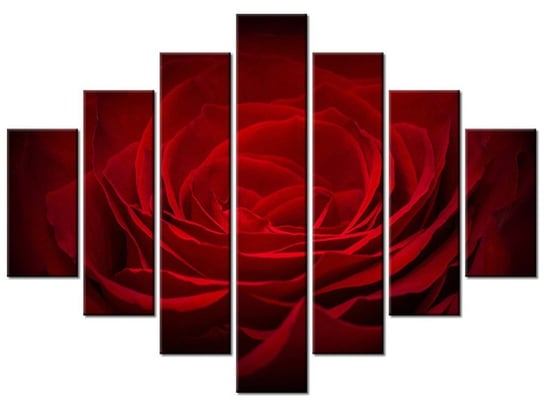Obraz, Róża dla ukochanej, 7 elementów, 210x150 cm Oobrazy