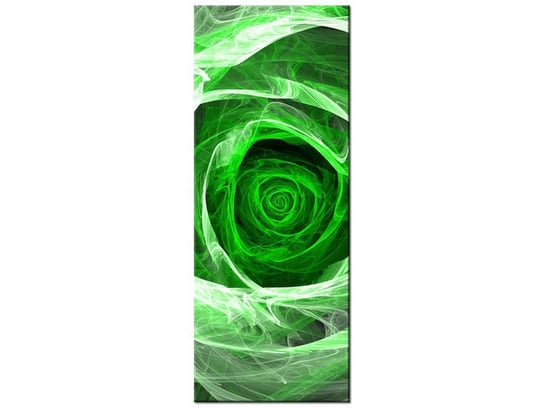 Obraz, Róża fraktalna green, 40x100 cm Oobrazy