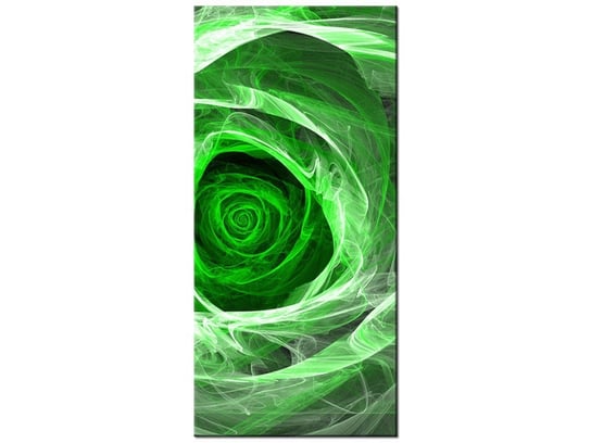 Obraz Róża fraktalna green, 55x115 cm Oobrazy