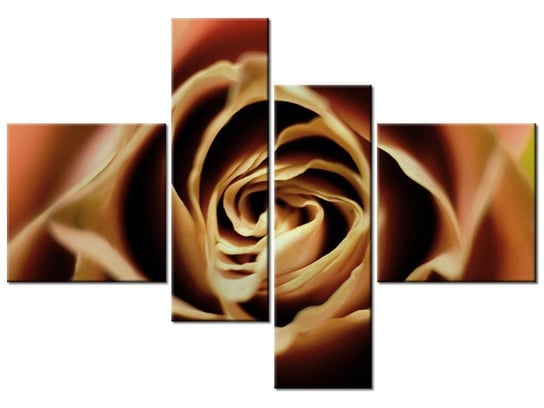 Obraz Róza herbaciana, 4 elementy, 130x90 cm Oobrazy