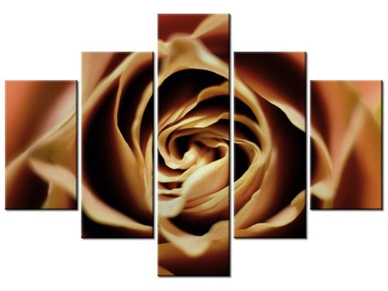 Obraz Róza herbaciana, 5 elementów, 100x70 cm Oobrazy