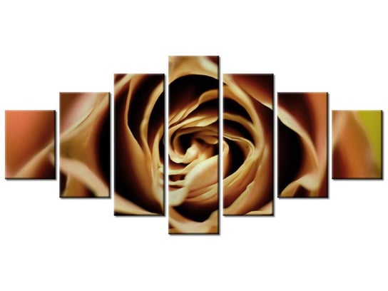 Obraz Róza herbaciana, 7 elementów, 210x100 cm Oobrazy
