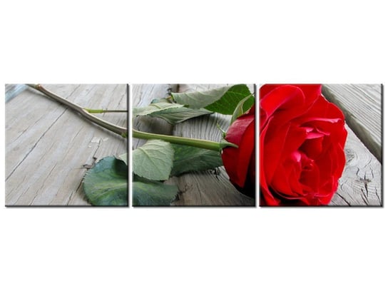 Obraz Róża na deskach, 3 elementy, 120x40 cm Oobrazy