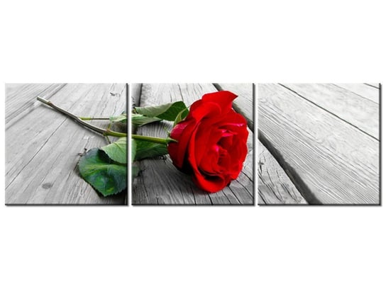 Obraz Róża na deskach, 3 elementy, 120x40 cm Oobrazy