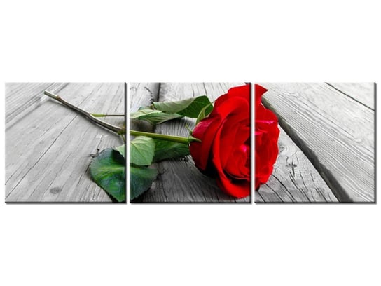 Obraz Róża na deskach, 3 elementy, 150x50 cm Oobrazy