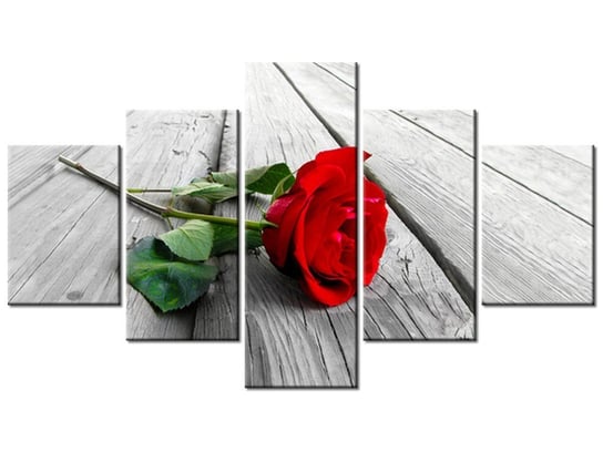 Obraz Róża na deskach, 5 elementów, 125x70 cm Oobrazy