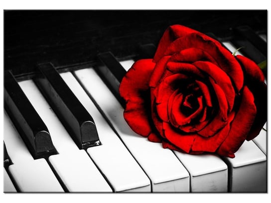 Obraz, Róża na fortepianie, 100x70 cm Oobrazy