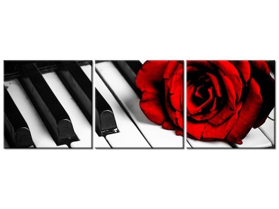 Obraz, Róża na fortepianie, 3 elementy, 150x50 cm Oobrazy