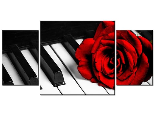 Obraz Róża na fortepianie, 3 elementy, 80x40 cm Oobrazy