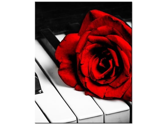 Obraz Róża na fortepianie, 40x50 cm Oobrazy