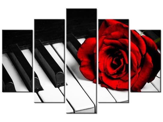 Obraz, Róża na fortepianie, 5 elementów, 150x100 cm Oobrazy