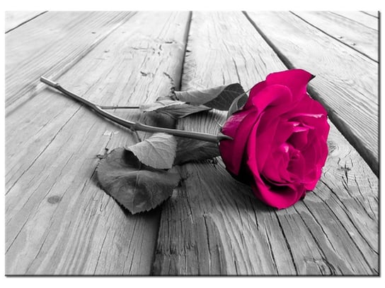 Obraz, Róża na moście, 70x50 cm Oobrazy