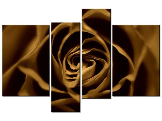 Obraz Róża venge, 4 elementy, 130x85 cm Oobrazy