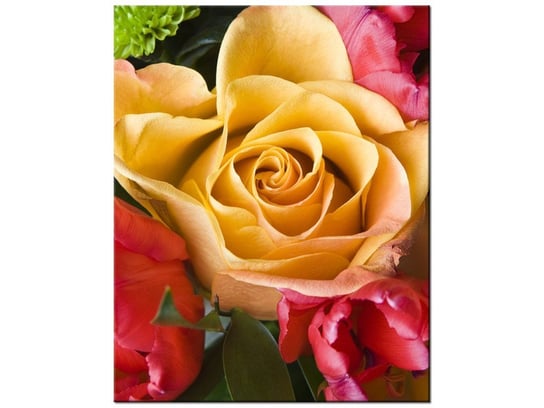 Obraz Róża w bukiecie, 40x50 cm Oobrazy