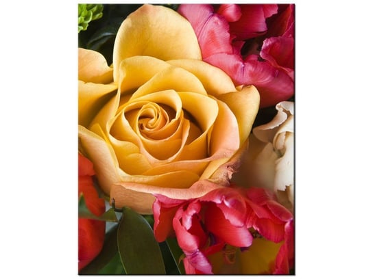 Obraz Róża w bukiecie, 60x75 cm Oobrazy