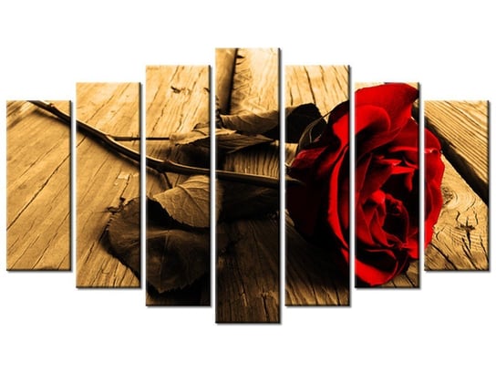 Obraz Róża w sepii, 7 elementów, 140x80 cm Oobrazy