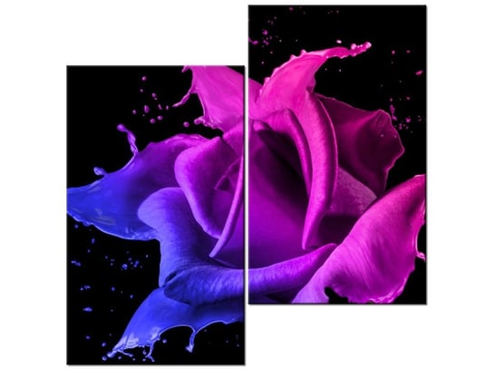 Obraz Róża z farb - Jakub Banaś, 2 elementy, 60x60 cm Oobrazy