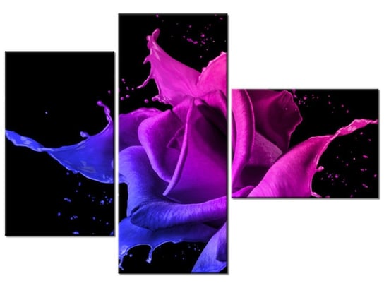 Obraz Róża z farb - Jakub Banaś, 3 elementy, 100x70 cm Oobrazy