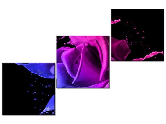 Obraz Róża z farb - Jakub Banaś, 3 elementy, 120x80 cm Oobrazy