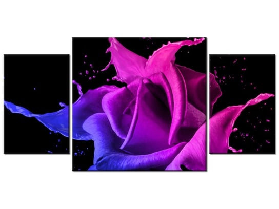 Obraz Róża z farb - Jakub Banaś, 3 elementy, 80x40 cm Oobrazy
