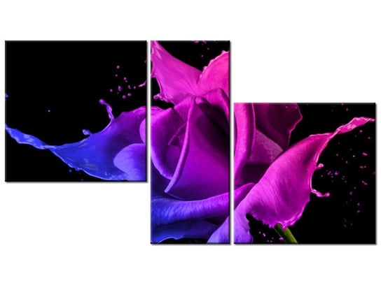 Obraz Róża z farb - Jakub Banaś, 3 elementy, 90x50 cm Oobrazy