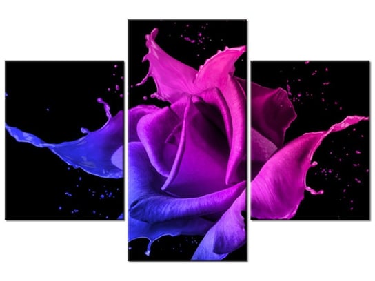 Obraz Róża z farb - Jakub Banaś, 3 elementy, 90x60 cm Oobrazy