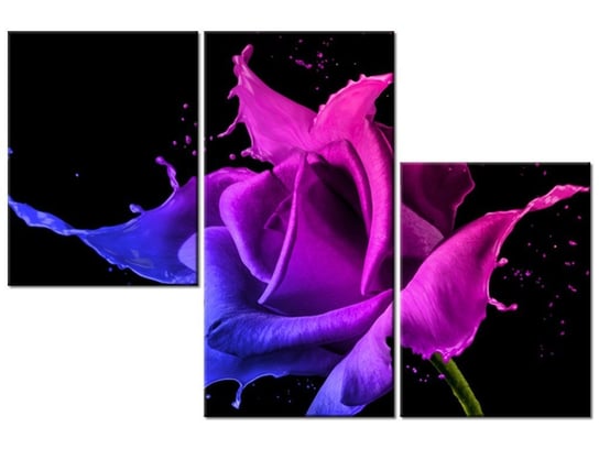 Obraz Róża z farb - Jakub Banaś, 3 elementy, 90x60 cm Oobrazy