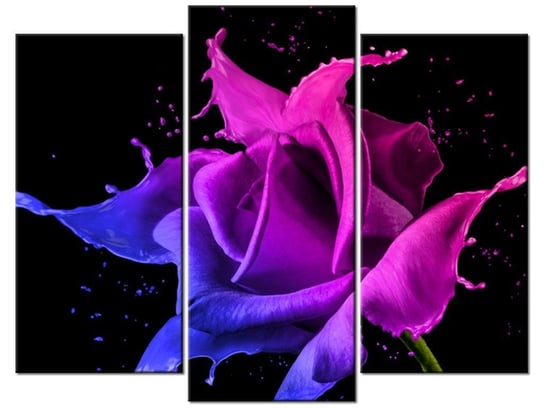 Obraz Róża z farb - Jakub Banaś, 3 elementy, 90x70 cm Oobrazy