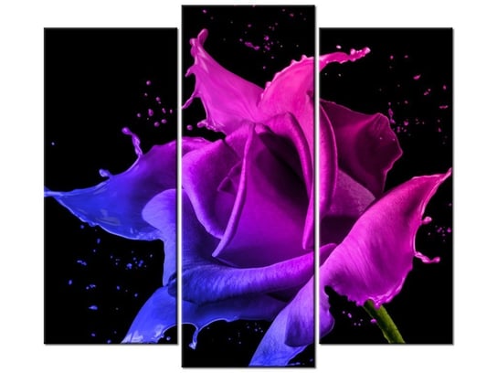 Obraz Róża z farb - Jakub Banaś, 3 elementy, 90x80 cm Oobrazy