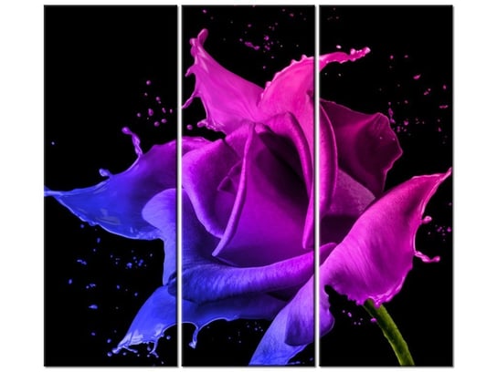 Obraz Róża z farb - Jakub Banaś, 3 elementy, 90x80 cm Oobrazy