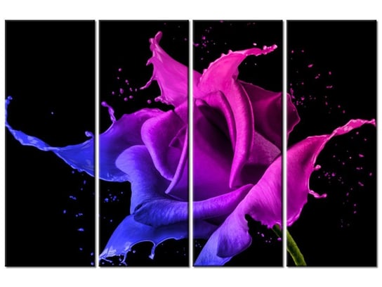 Obraz Róża z farb - Jakub Banaś, 4 elementy, 120x80 cm Oobrazy