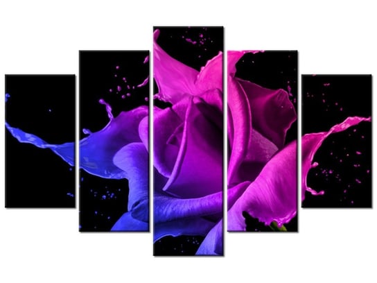 Obraz Róża z farb - Jakub Banaś, 5 elementów, 100x63 cm Oobrazy
