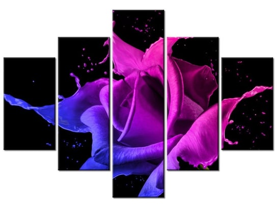 Obraz, Róża z farb - Jakub Banaś, 5 elementów, 100x70 cm Oobrazy