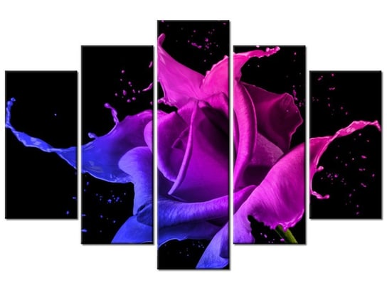 Obraz, Róża z farb - Jakub Banaś, 5 elementów, 150x100 cm Oobrazy
