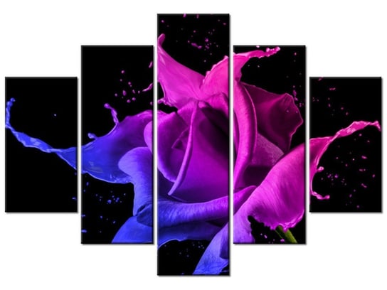 Obraz, Róża z farb - Jakub Banaś, 5 elementów, 150x105 cm Oobrazy
