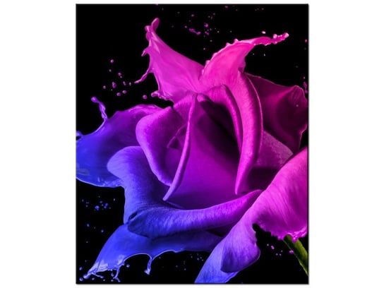 Obraz Róża z farb - Jakub Banaś, 50x60 cm Oobrazy