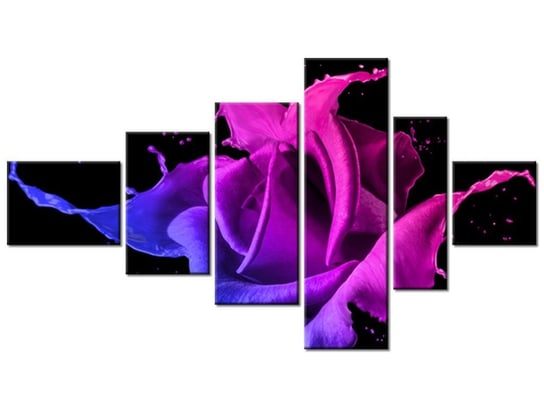Obraz Róża z farb - Jakub Banaś, 6 elementów, 180x100 cm Oobrazy