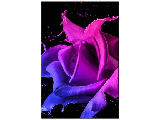 Obraz, Róża z farb - Jakub Banaś, 60x90 cm Oobrazy