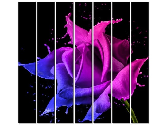 Obraz Róża z farb - Jakub Banaś, 7 elementów, 210x195 cm Oobrazy