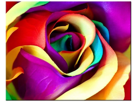 Obraz Róża z materiału, 50x40 cm Oobrazy