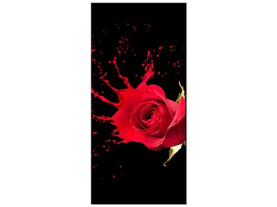 Obraz Różany plusk, 55x115 cm Oobrazy
