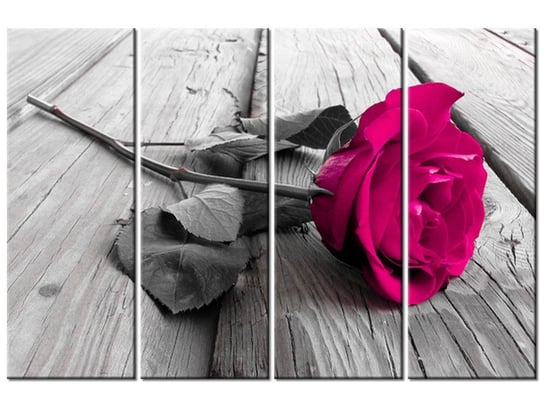 Obraz Różowa różyczka, 4 elementy, 120x80 cm Oobrazy