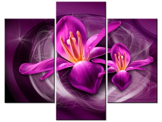 Obraz Różowe kosmiczne kwiaty - Jakub Banaś, 3 elementy, 90x70 cm Oobrazy