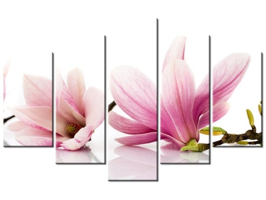 Obraz, Różowe magnolie, 5 elementów, 100x63 cm Oobrazy