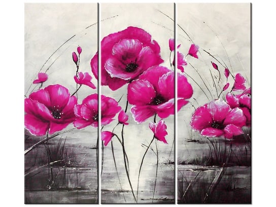 Obraz Różowe Maki, 3 elementy, 90x80 cm Oobrazy