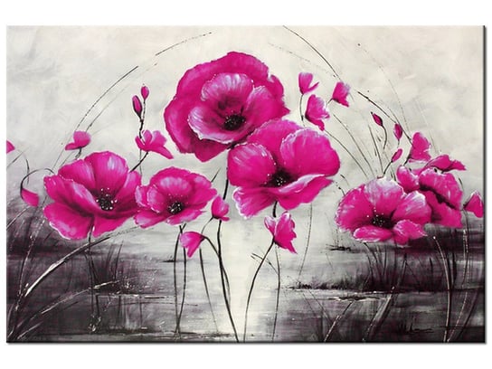 Obraz Różowe Maki, 90x60 cm Oobrazy
