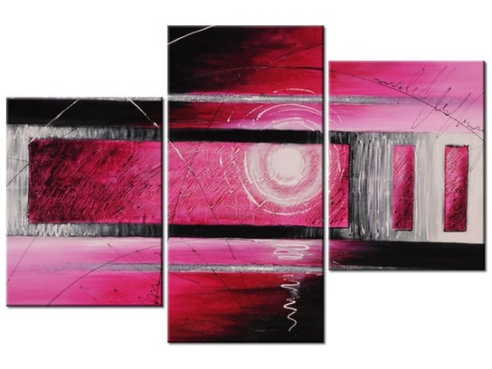 Obraz Różowe szaleństwo, 3 elementy, 90x60 cm Oobrazy