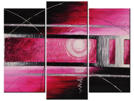 Obraz Różowe szaleństwo, 3 elementy, 90x70 cm Oobrazy