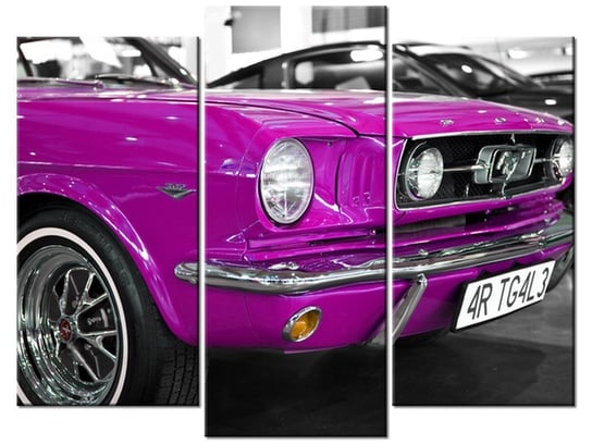 Obraz Różowy Mustang, 3 elementy, 90x70 cm Oobrazy
