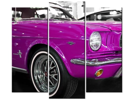Obraz Różowy Mustang, 3 elementy, 90x80 cm Oobrazy